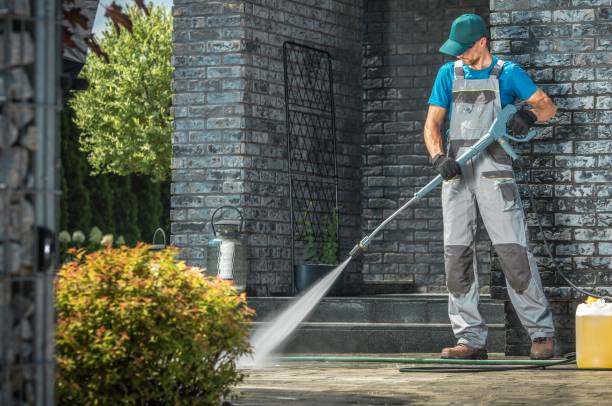 Best Roof Cleaning and Mildew Removal in Le Sueur, MN